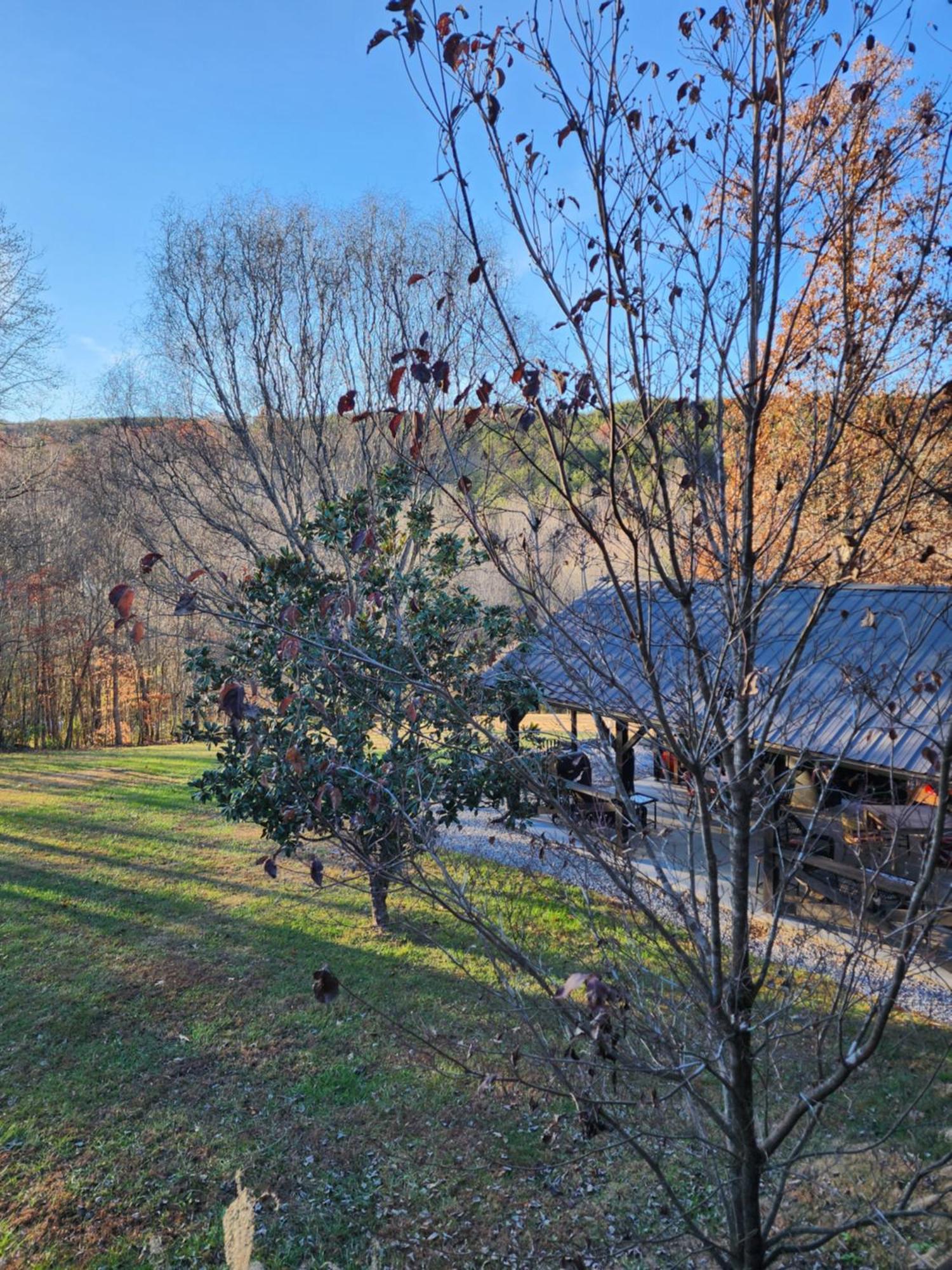 Lodge At Tellico Tellico Plains Eksteriør billede